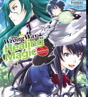 The Wrong Way to Use Healing Magic EN Cover Image