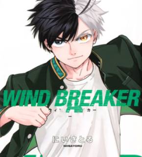 Wind Breaker (NII Satoru) EN Cover Image
